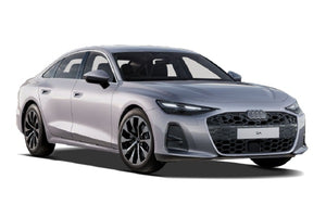 Audi A6 Diesel Injektoren