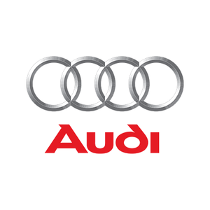 Iniettori Diesel Audi
