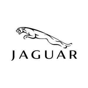 Iniettori Diesel Jaguar
