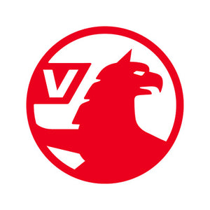 Iniettori Diesel Vauxhall